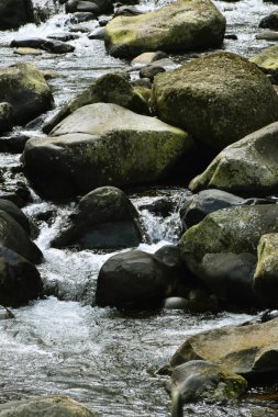 Açık hava ortamında, büyük, yosun kaplı kayalar ve gri taşlar arasında akan ve sıçrayan temiz nehir suyunun detaylı bir yakın çekimi..