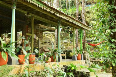 Endonezya 'nın Kuningan kentindeki yemyeşil tropik bitkilerle çevrili, karmaşık oymalarla süslü, geleneksel bir Cava ahşap binası..