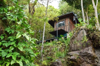 Endonezya, Kuningan 'da yemyeşil ağaçların ve kayaların arasına yerleştirilmiş mavi aksanlı ve klasik lambalı iki katlı ahşap bir kulübe..
