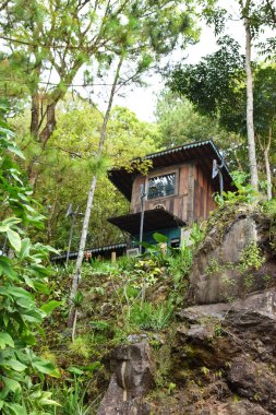 Endonezya, Kuningan 'da yemyeşil ağaçların ve kayaların arasına yerleştirilmiş mavi aksanlı ve klasik lambalı iki katlı ahşap bir kulübe..