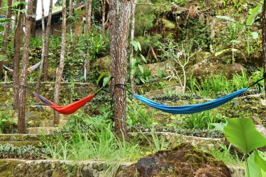 Endonezya 'nın Kuningan kentindeki gür bir orman parkında, uzun çam ağaçları arasında parlak kırmızı ve mavi hamakları olan sakin bir açık hava sahnesi. Bölge taştan yapılmış peyzajı da içeriyor..