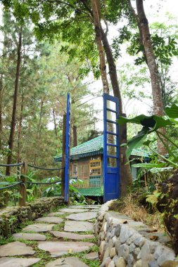 Endonezya 'nın Kuningan kentindeki bir doğa parkının uzun mavi kapılı girişinin yer aldığı kırsal ahşap bir ev ve uzun çam ağaçları manzarası..