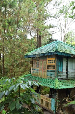 Endonezya 'nın Kuningan kentindeki bir doğa parkında yemyeşil kiremitli bir çatısı, yemyeşil tropik bitkiler ve çam ağaçlarıyla çevrili bir kır evi..