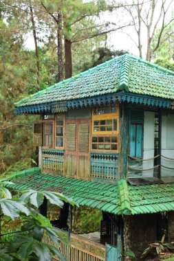 Endonezya 'nın Kuningan kentindeki bir doğa parkında yemyeşil kiremitli bir çatısı, yemyeşil tropik bitkiler ve çam ağaçlarıyla çevrili bir kır evi..