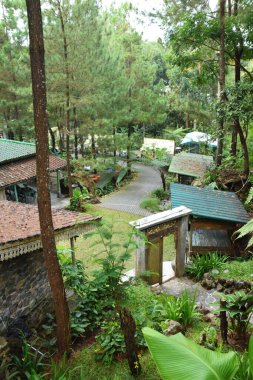 Endonezya 'daki Kuningan, Batı Java ve Endonezya' daki yüksek çam ağaçları ve yemyeşil bahçelerin arasına yerleştirilmiş yeşil kiremit çatılı geleneksel Endonezya binalarının huzurlu manzarası.