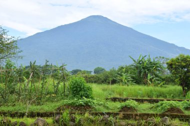 Ciremai Dağı 'nın güzel manzarası Endonezya, Batı Java, Kuningan' da sebze ekinleri ve tropikal ağaçlarla dolu yeşil bir bahçeden görüldü..