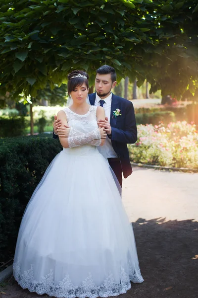 Recém-casados elegantes no dia do casamento — Fotografia de Stock