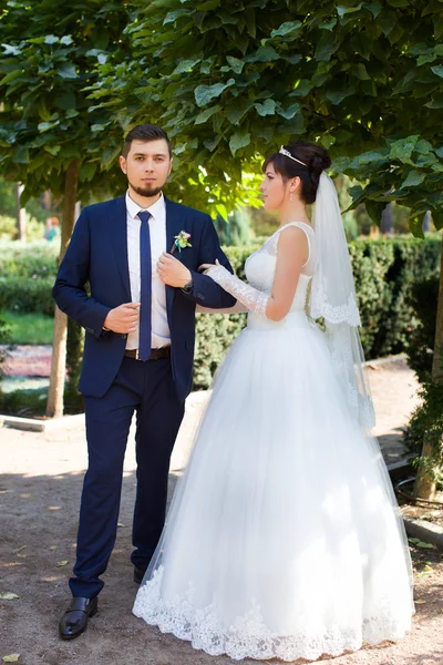 Recém-casados elegantes no dia do casamento — Fotografia de Stock