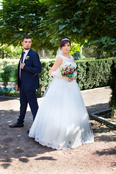Eleganta nygifta på deras bröllopsdag — Stockfoto