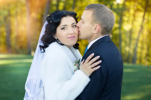 O noivo gentilmente abraça e beija a noiva — Fotografia de Stock