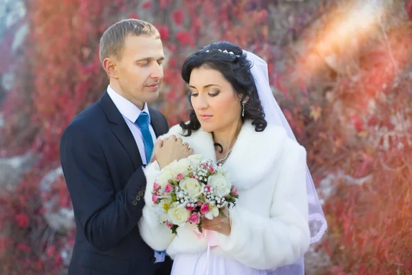 El novio gentilmente abraza y besa a la novia —  Fotos de Stock