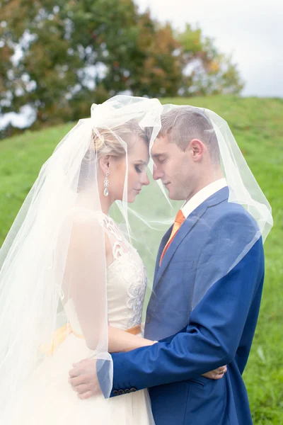 Los recién casados felices en un paseo —  Fotos de Stock