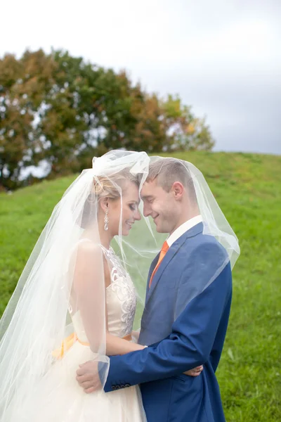 De lyckliga nygifta på en promenad — Stockfoto