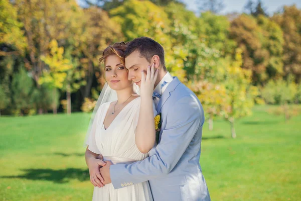 El novio abraza suavemente a la novia —  Fotos de Stock