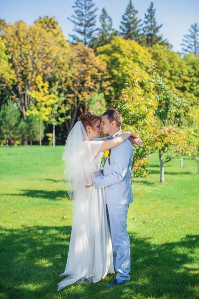 Lo sposo abbraccia dolcemente la sposa — Foto Stock