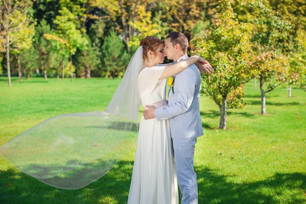 El novio abraza suavemente a la novia —  Fotos de Stock