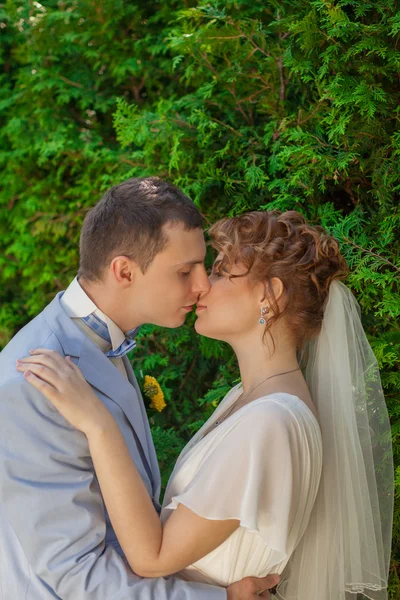 Lo sposo bacia teneramente la sposa — Foto Stock