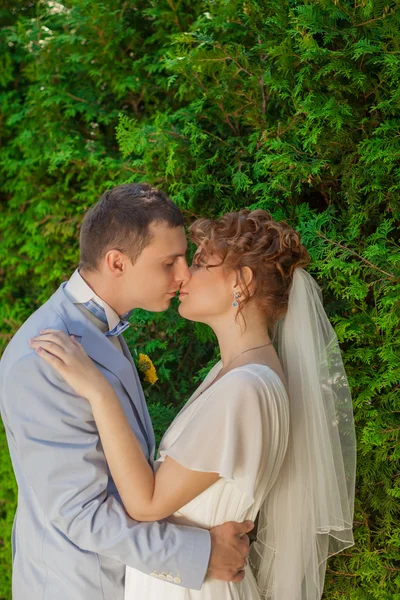 Der Bräutigam küsst die Braut zärtlich — Stockfoto