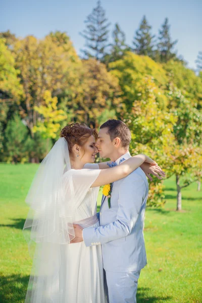 Lo sposo abbraccia dolcemente la sposa — Foto Stock