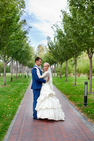 Recém-casados sobre a natureza do país — Fotografia de Stock