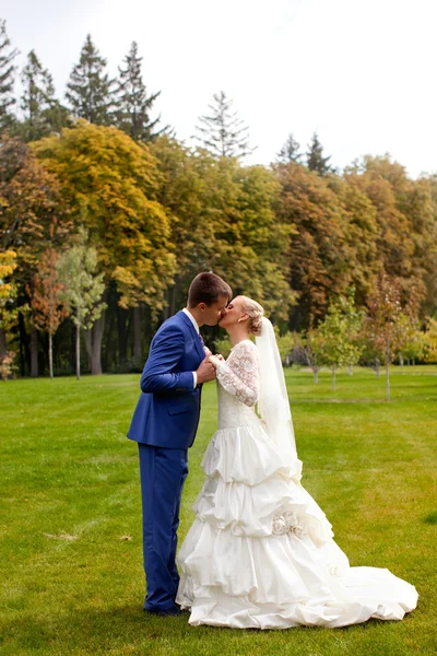 Lo sposo bacia teneramente la sposa — Foto Stock