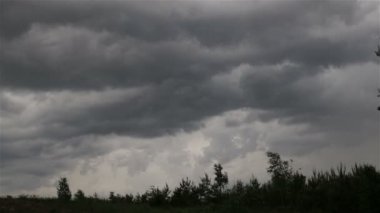 Soğuk Hava yağmurlu, ormandaki fırtınalı Rüzgar