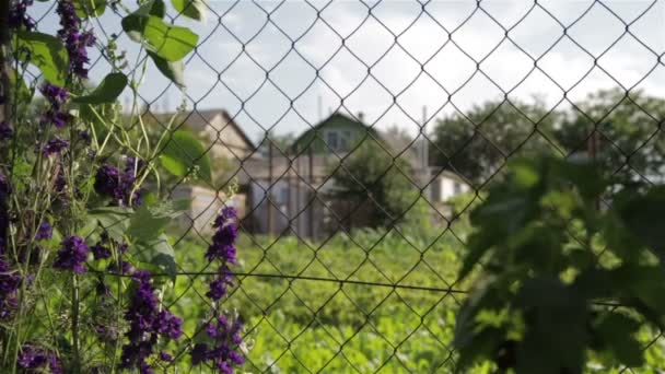 Mesh for fencing in the country — Stock Video