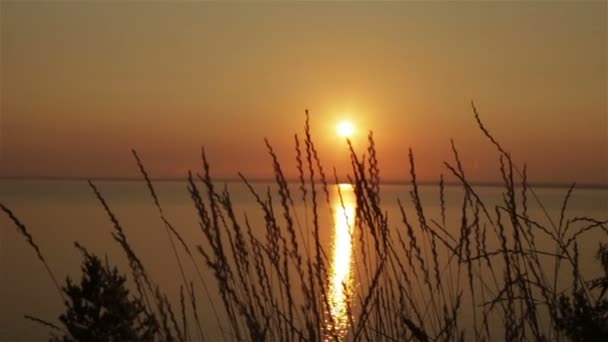 Amanecer en la naturaleza — Vídeo de stock