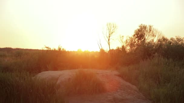 Pôr do sol de verão no país sobre a natureza — Vídeo de Stock