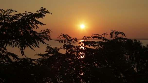 Sonnenaufgang über der Natur — Stockvideo