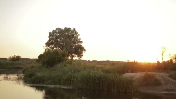 Summer sunset in the country on the nature — Stock Video