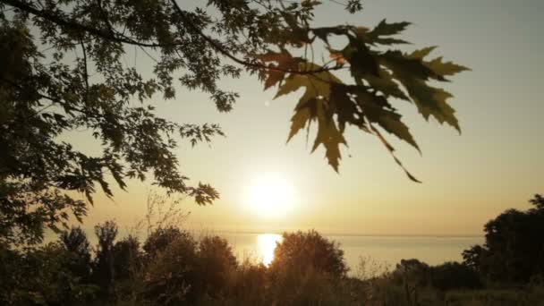 Восход солнца на природе — стоковое видео