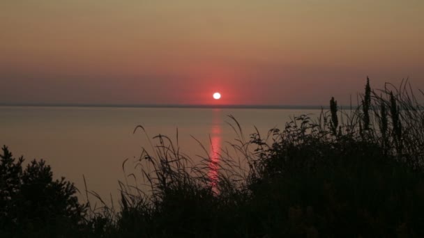 Lever de soleil sur la nature — Video