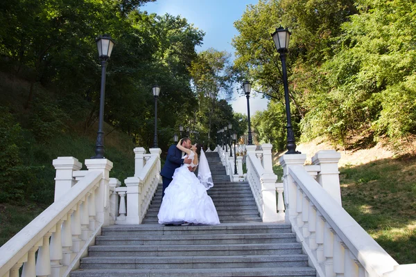 Recém-casados elegantes no dia do casamento — Fotografia de Stock