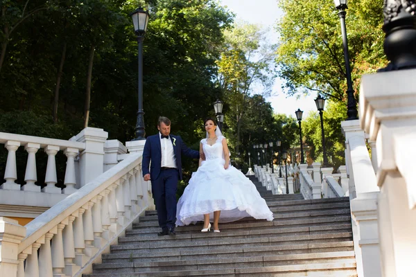 Recém-casados elegantes no dia do casamento — Fotografia de Stock