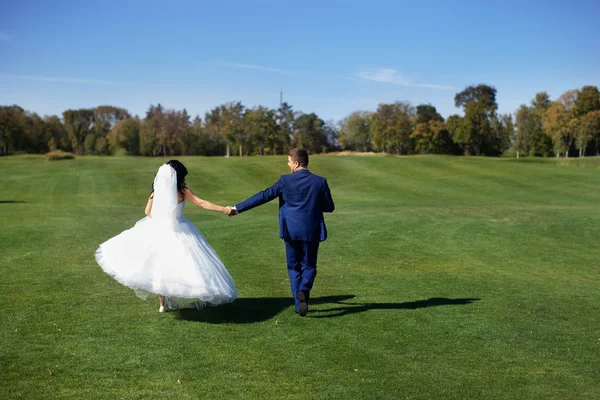 Mariages à l'extérieur de la ville, marcher à travers le champ — Photo