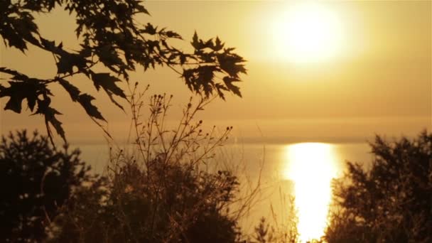 Sonnenaufgang über der Natur — Stockvideo