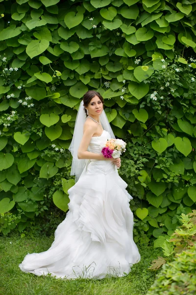 Sposa in natura — Foto Stock