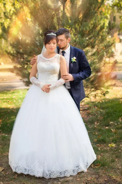Recém-casados elegantes no dia do casamento — Fotografia de Stock