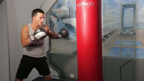 Boxer em pêra de boxe — Vídeo de Stock