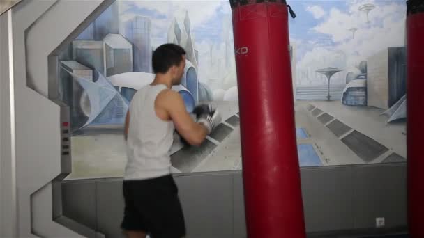 Boxer em pêra de boxe — Vídeo de Stock