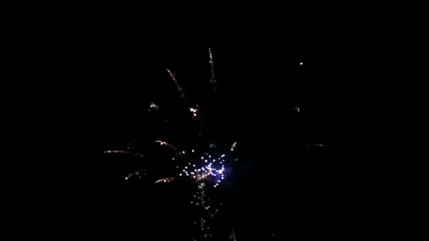 Night fireworks on holiday — Stock Video