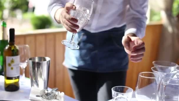 Barman ruce na recepci — Stock video