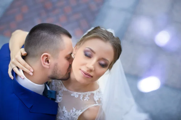 Recém-casados em um passeio no campo — Fotografia de Stock