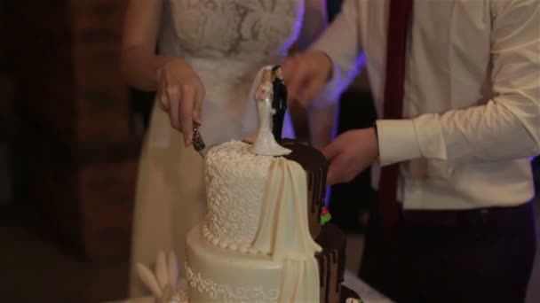 Les jeunes mariés coupent le gâteau de mariage — Video