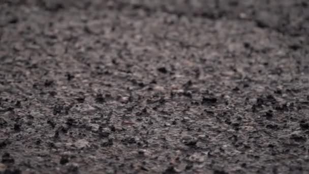 Kousky automobilové gumy na závodní dráze — Stock video