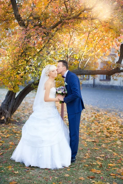 Bruden och brudgummen omfamna på en promenad i landsbygden för en promenad — Stockfoto