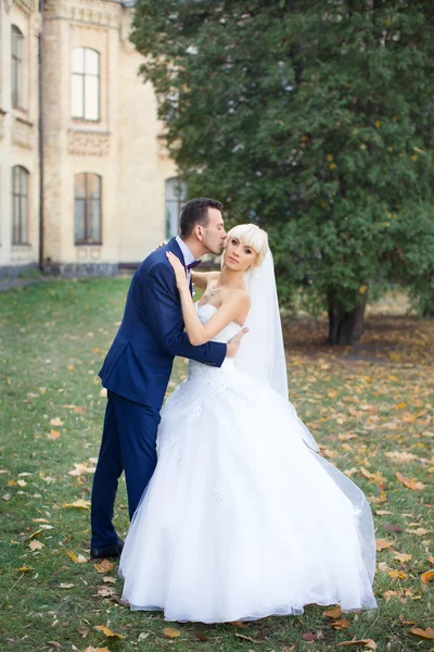 Braut und Bräutigam umarmen sich bei einem Spaziergang in der Natur — Stockfoto