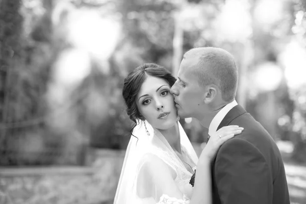 Наречений цілує наречену на щоці — стокове фото