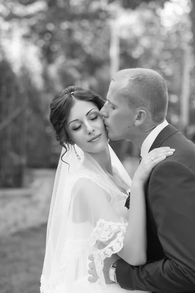 De bruidegom kussen de bruid op de Wang — Stockfoto